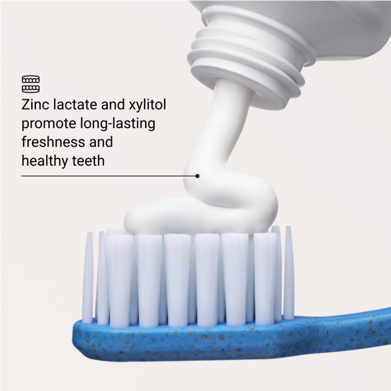 Whitening Toothpaste Anti-Plaque – valgendav hambapasta katu vastu, 75 ml