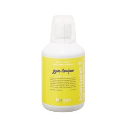 Laundry Soap Gym Tonique Pesuvahend spordiriietele, 500 ml 