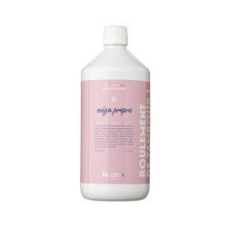 Laundry Soap Méga Propre Pesuvahend, 1000 ml 