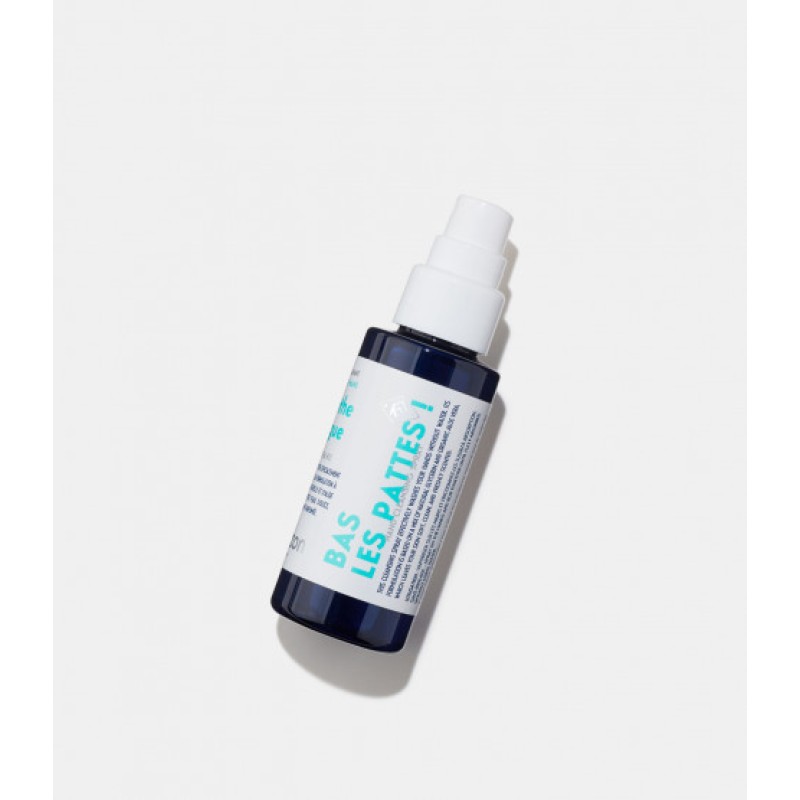Hand Cleansing Spray Menthe & Figue Lõhnastatud desinfitseerija kätele, 50 ml