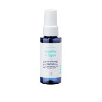 Hand Cleansing Spray Menthe & Figue Lõhnastatud desinfitseerija kätele, 50 ml 