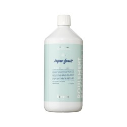 Laundry Soap Super Frais Pesuvahend, 1000 ml 