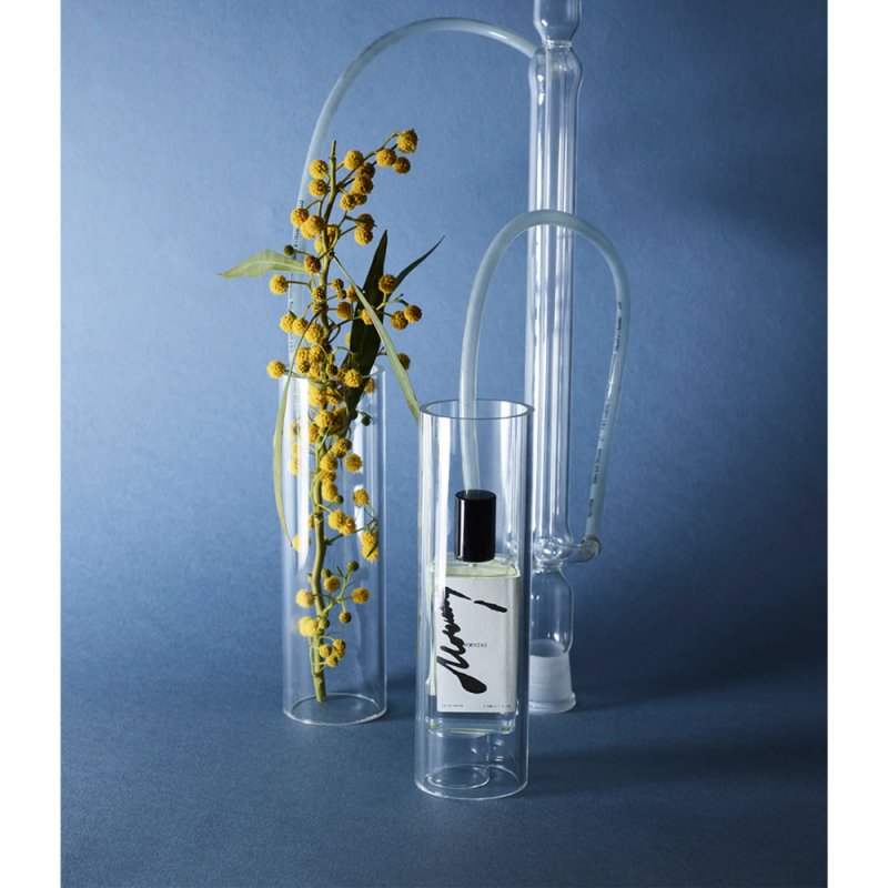 MORNING Eau de Parfum parfüümvesi, 50 ml