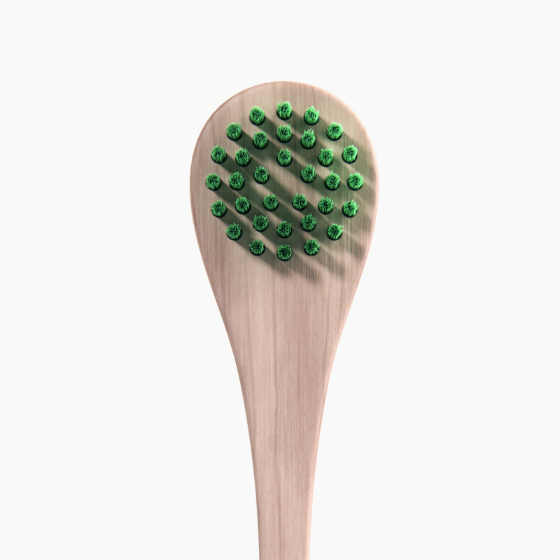 Bamboo Toothbrush Kit Bambusest suuhoolduskomplekt, 1 tk