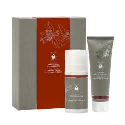 Shaving Set Sandalwood Sandlipuu aroomiga raseerimiskomplekt, 1tk 