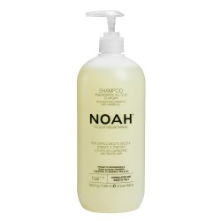 1.4. Regenerating Shampoo With Argan Oil Šampoon kuivadele ja keemiliselt kahjustatud juustele, 1000 ml 