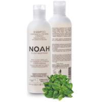 1.5. Purifying Shampoo With Green Tea Kõõmavastane šampoon, 250 ml 