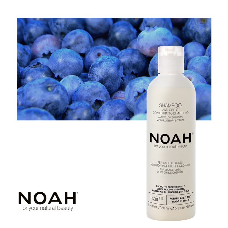 1.9. Anti-Yellow Shampoo Kollaseid toone neutraliseeriv šampoon, 250 ml
