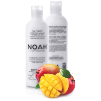 2.1. Nourishing Conditioner With Mango And Rice Proteins Toitev palsam kergeks juuste lahtiharutamiseks, 250 ml 