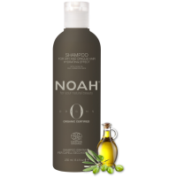 Origins Hydrating Shampoo For Dry Hair Niisutav šampoon kuivadele juustele, 250 ml 