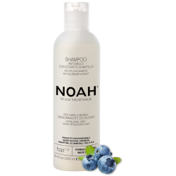 1.9. Anti-Yellow Shampoo Kollaseid toone neutraliseeriv šampoon, 250 ml 