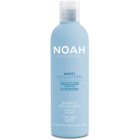 Anti Pollution Detox Shampoo Puhastav ja niisutav šampoon aaloe ja moringaõli ekstraktidega, 250 ml 
