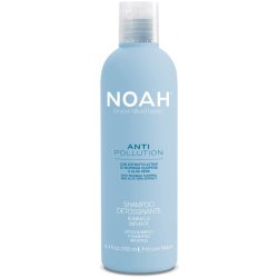 Anti Pollution Detox Shampoo Puhastav ja niisutav šampoon aaloe ja moringaõli ekstraktidega, 250 ml 