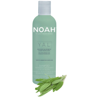 YAL Hydrating And Restorative Treatment Shampoo Taastav ja niisutav šampoon hüaluroonhappe ja salveiga, 250 ml 