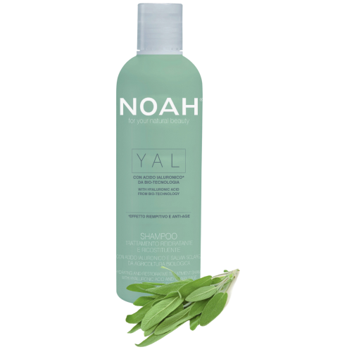 YAL Hydrating And Restorative Treatment Shampoo Taastav ja niisutav šampoon hüaluroonhappe ja salveiga, 250 ml