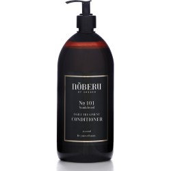 No 101 Daily Treatment Conditioner Palsam sagedaseks kasutamiseks, 1000 ml 