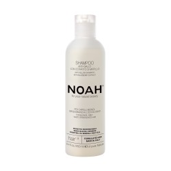 1.9. Anti-Yellow Shampoo Kollaseid toone neutraliseeriv šampoon, 250 ml