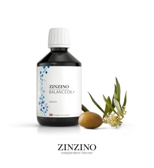 Zinzino BalanceOil+ Aquax Toitainelisand, 300ml | inbeauty.ee